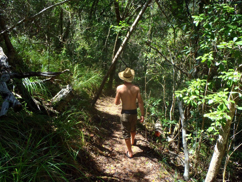 Airlie BeachNational Park