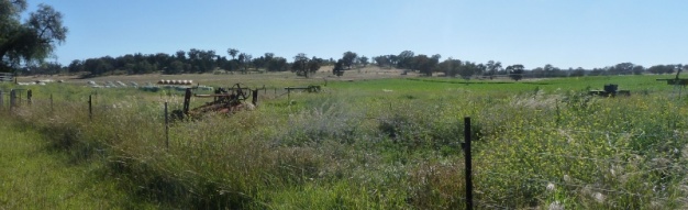 panorama dubbo